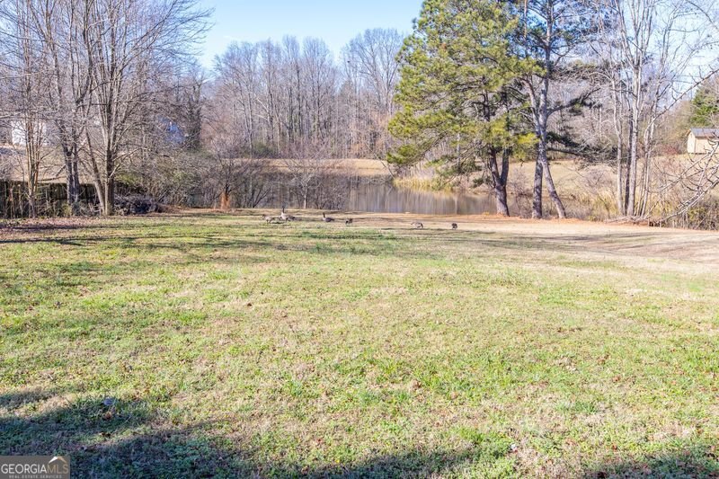 3250 Ivy Lake Drive Buford - Photo 38