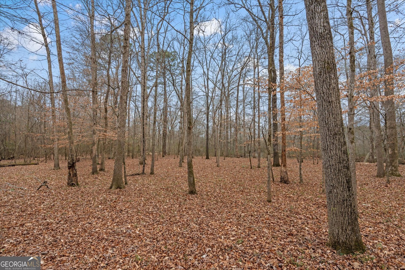 218 Ole Hickory Trail Carrollton - Photo 50