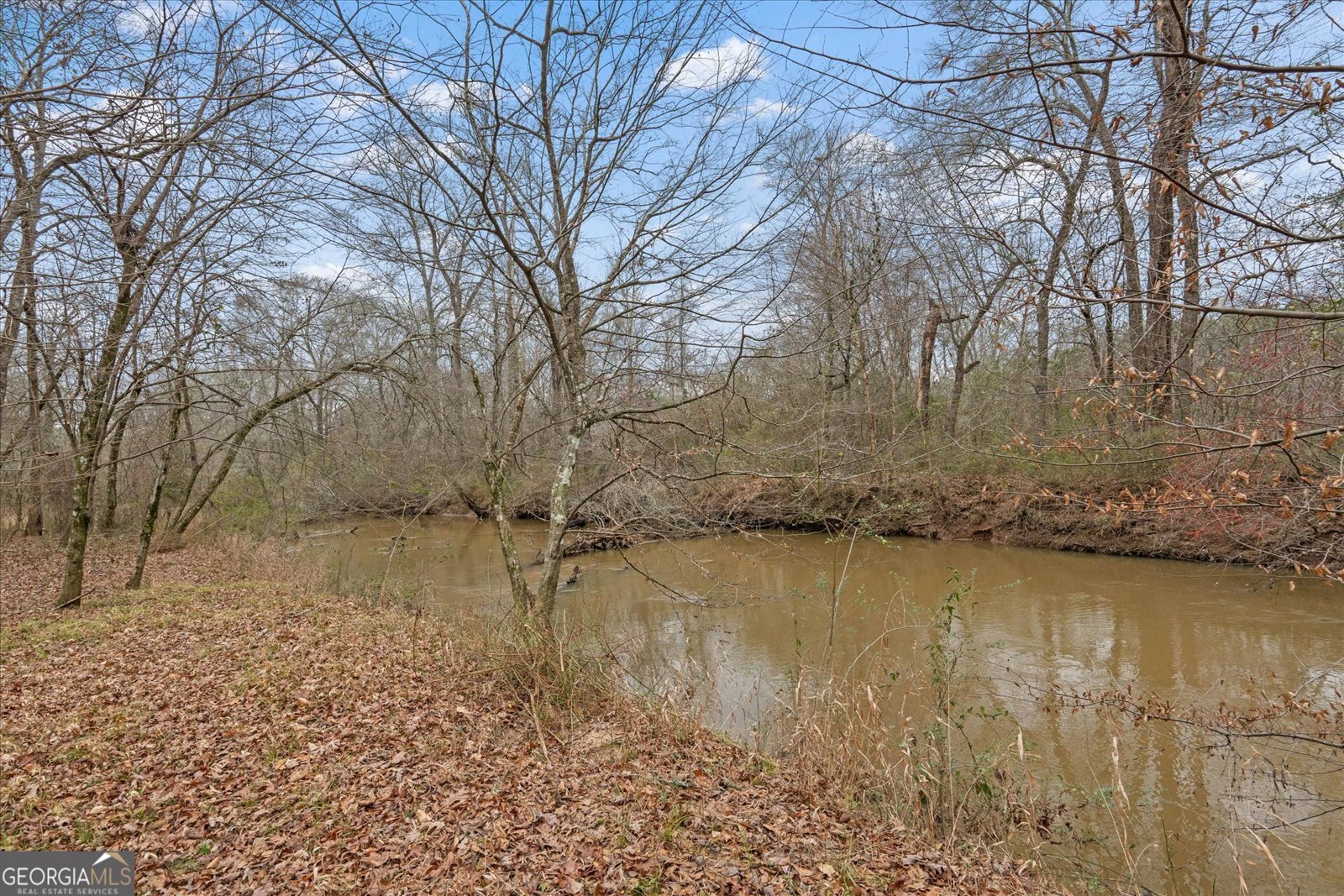 218 Ole Hickory Trail Carrollton - Photo 51