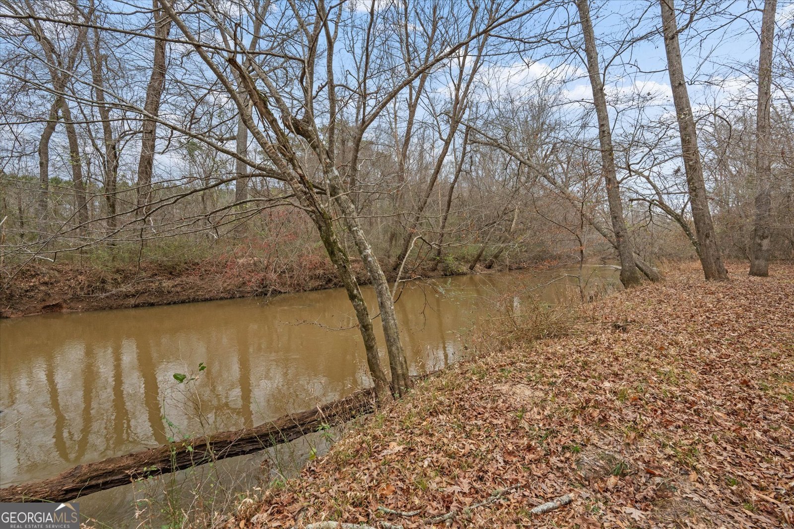 218 Ole Hickory Trail Carrollton - Photo 52