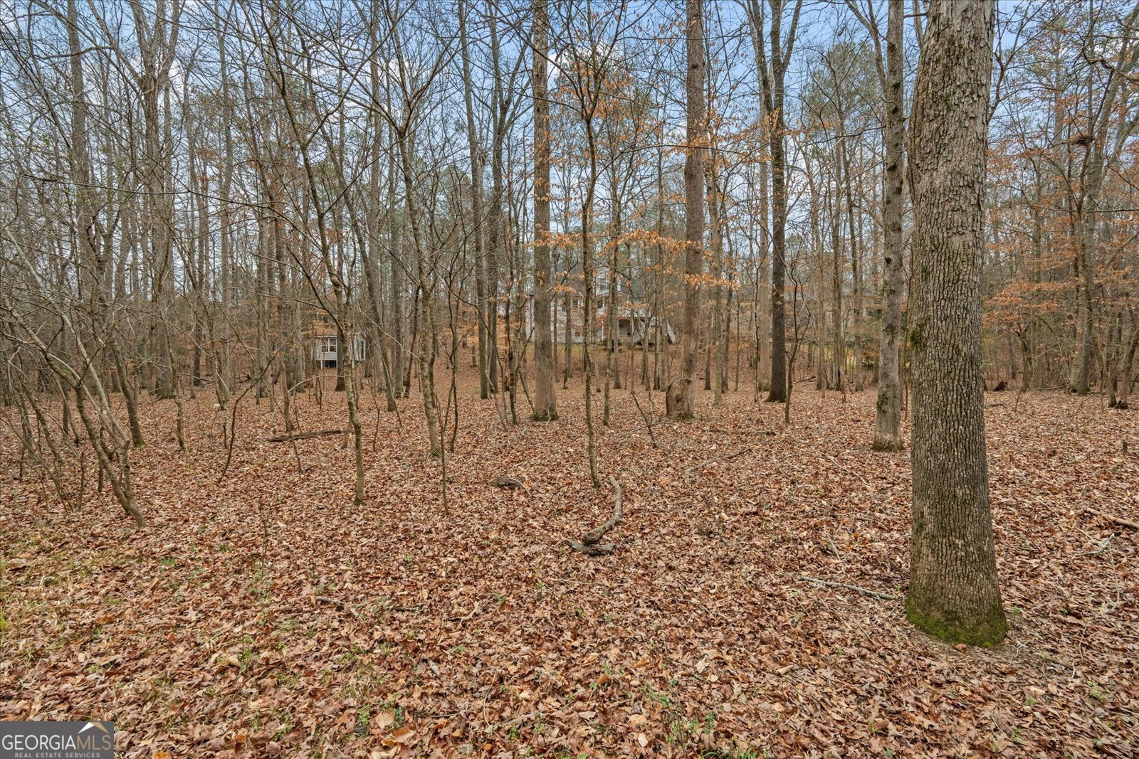 218 Ole Hickory Trail Carrollton - Photo 53