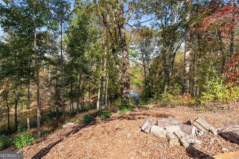 8055 Veranda Curve Ball Ground - Photo 54