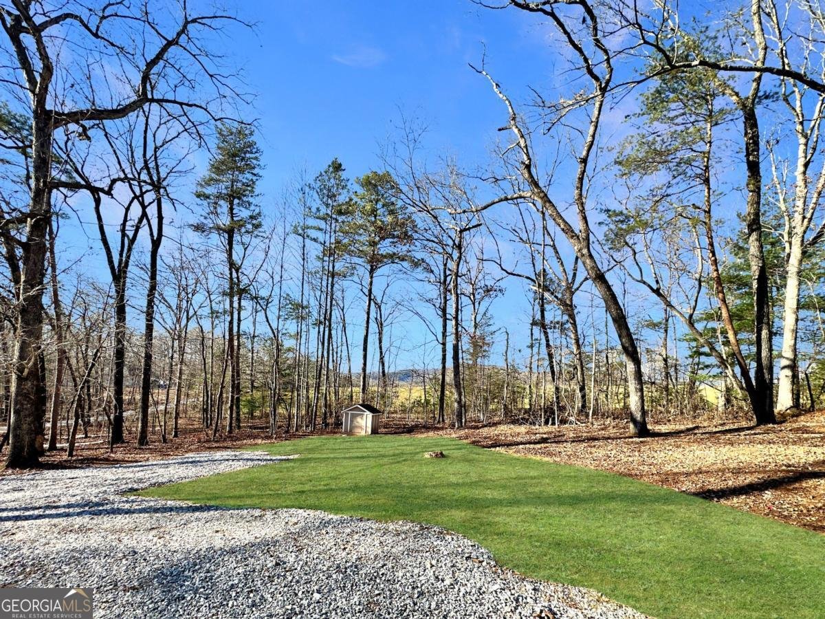 730 Carrie Cove Lane Clarkesville - Photo 14