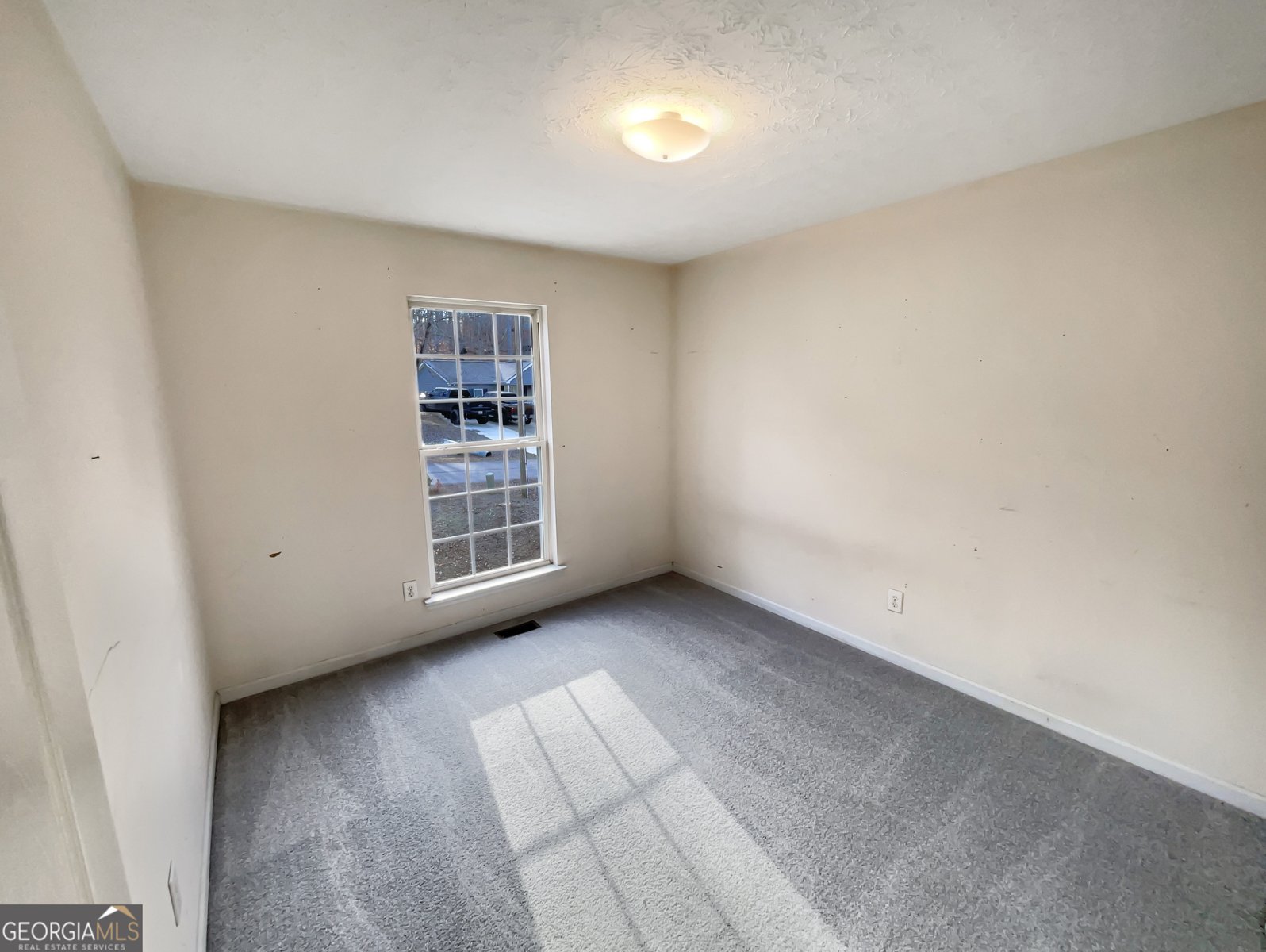 6739 Spring Head Drive Flowery Branch - Photo 24