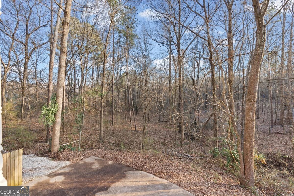 320 Austin Drive Douglasville - Photo 46