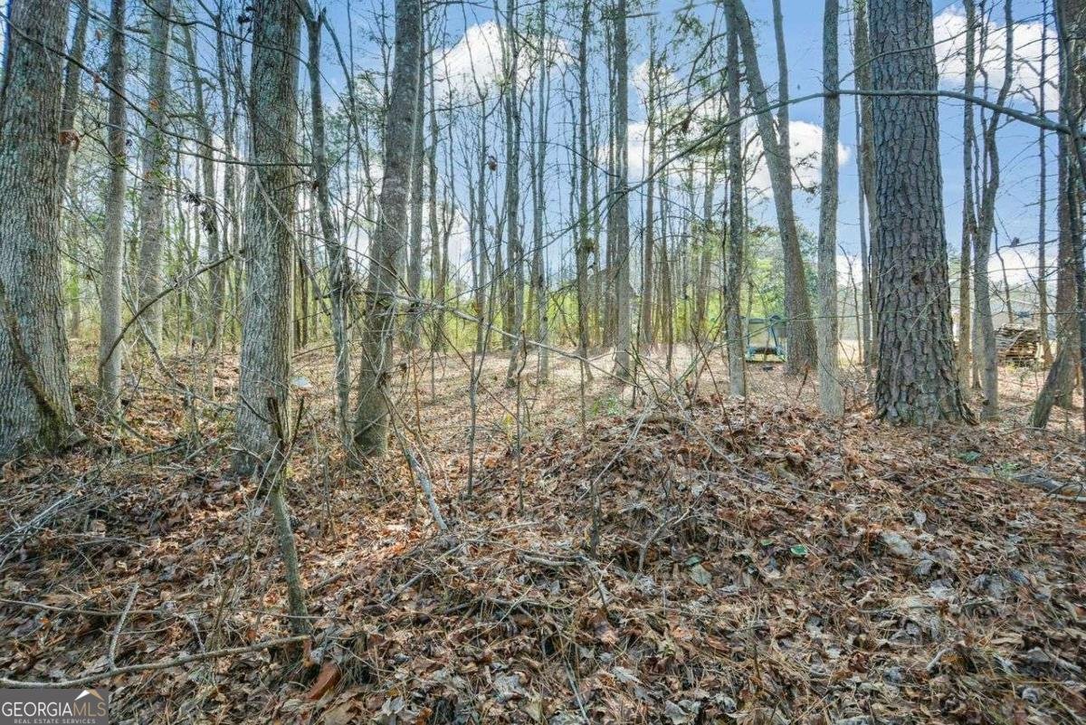 3871 Purdy Drive Lithia Springs - Photo 50