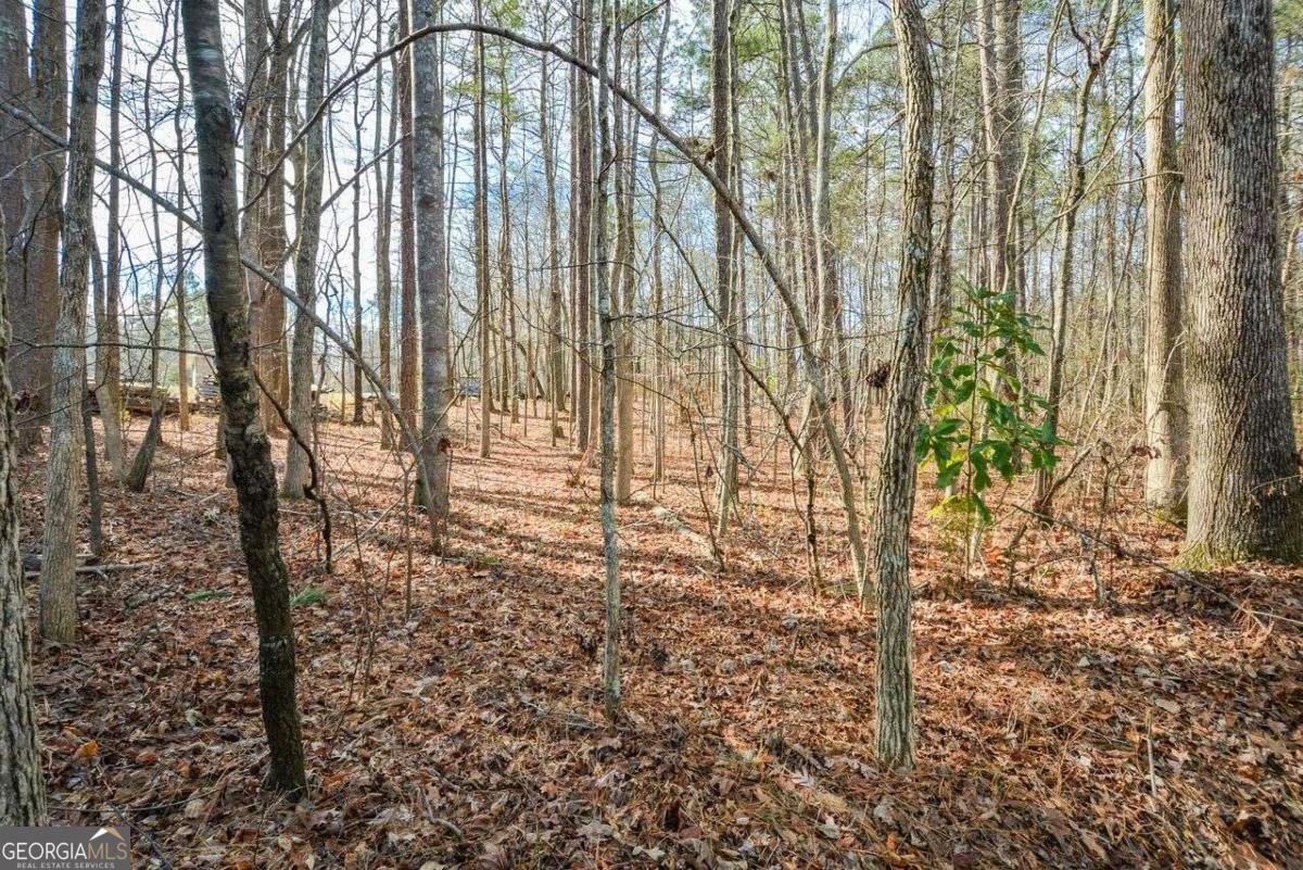 3871 Purdy Drive Lithia Springs - Photo 51