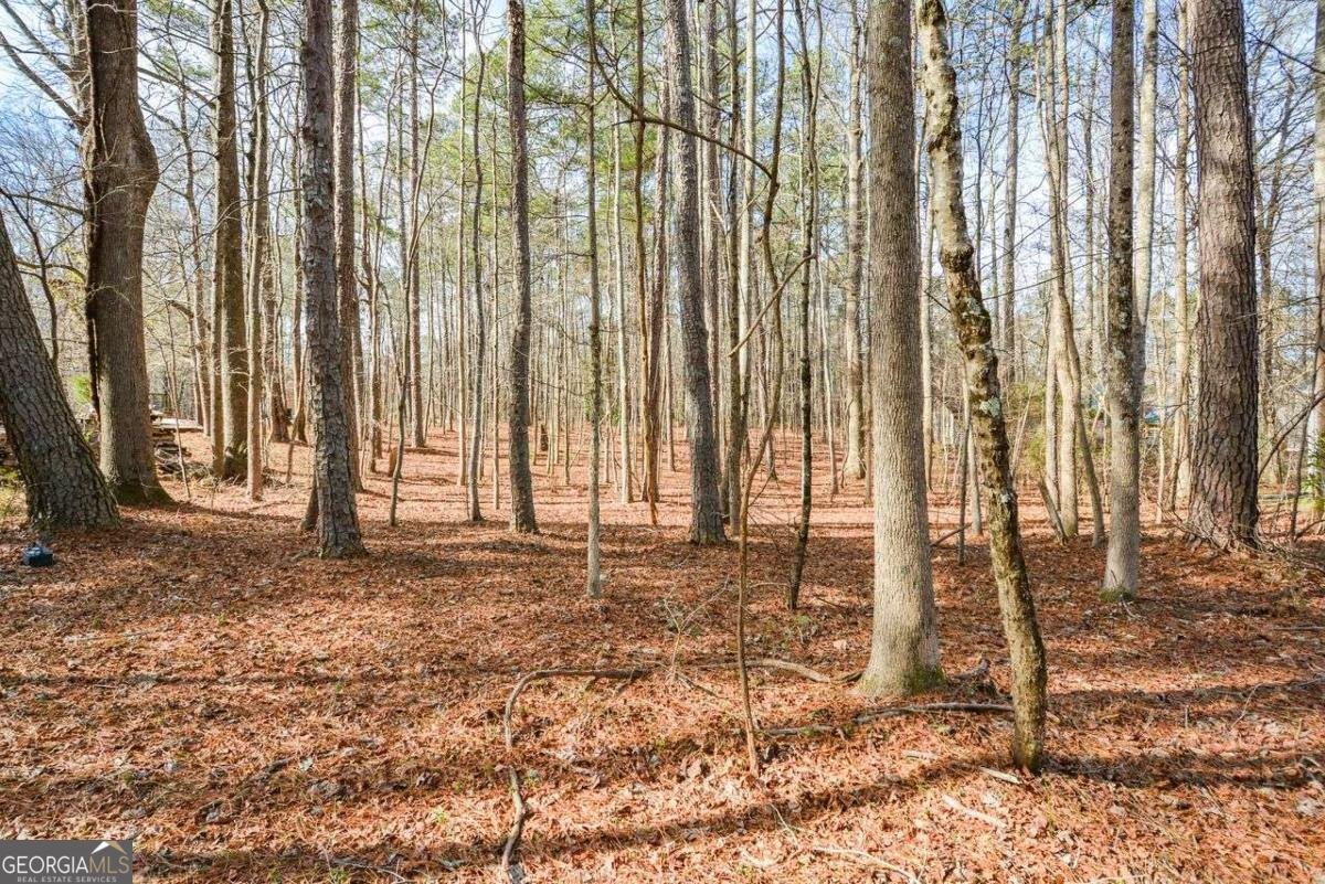 3871 Purdy Drive Lithia Springs - Photo 52