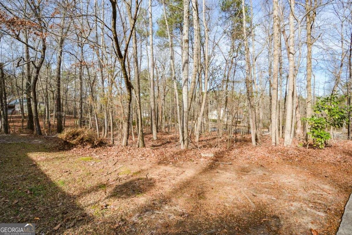 3871 Purdy Drive Lithia Springs - Photo 53