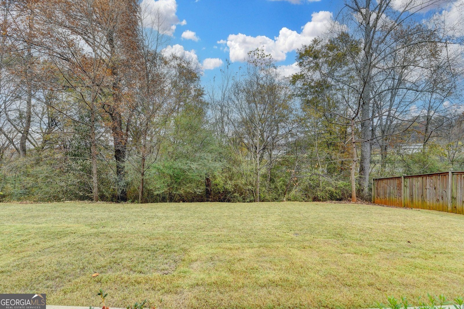 5525 Mirror Lake Drive Cumming - Photo 51