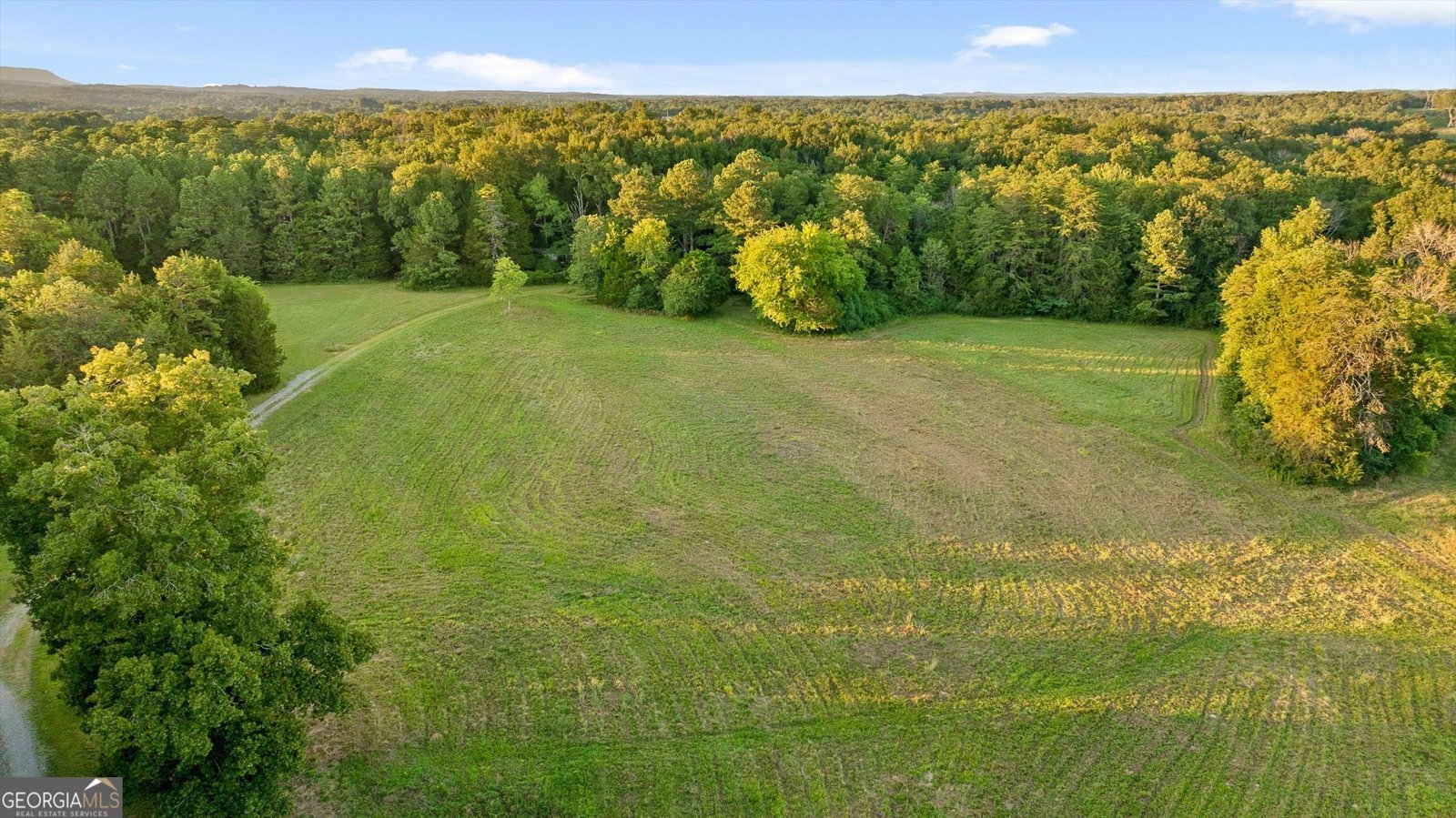 657 Brock Road Chickamauga - Photo 1