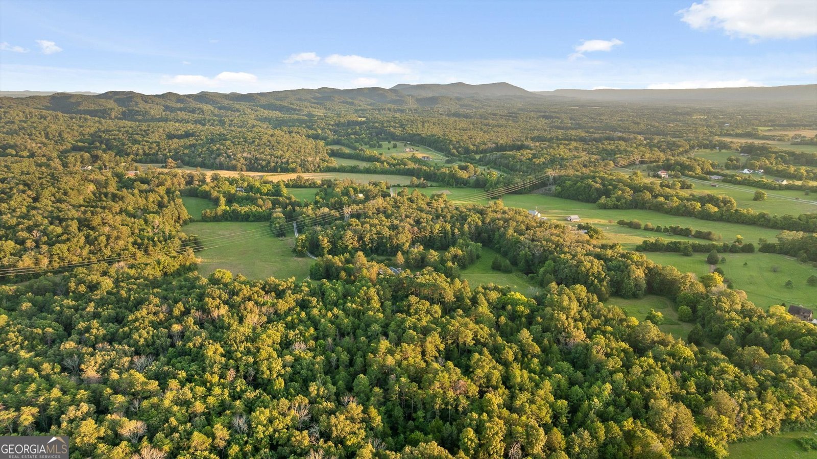 657 Brock Road Chickamauga - Photo 46