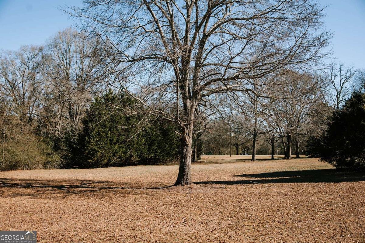 201 Main Street Stephens - Photo 33