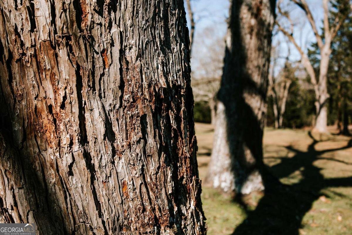 201 Main Street Stephens - Photo 38
