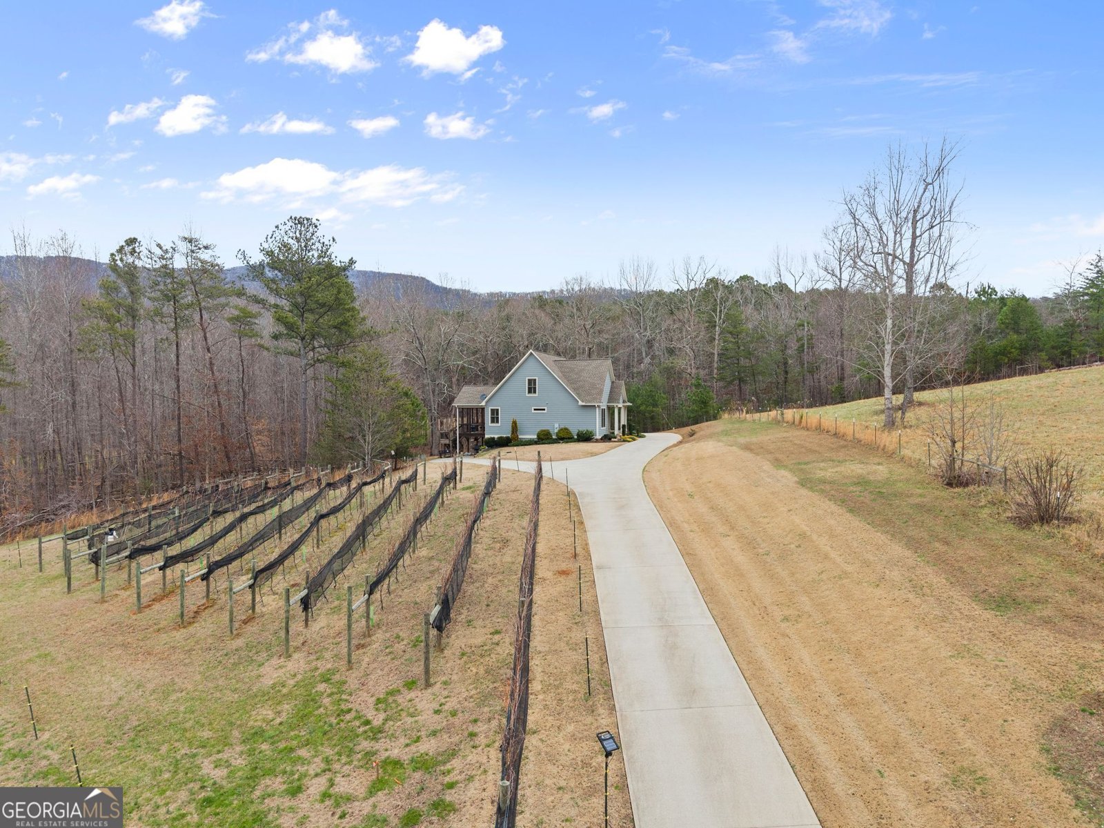 232 Happy Trails Way Jasper - Photo 32