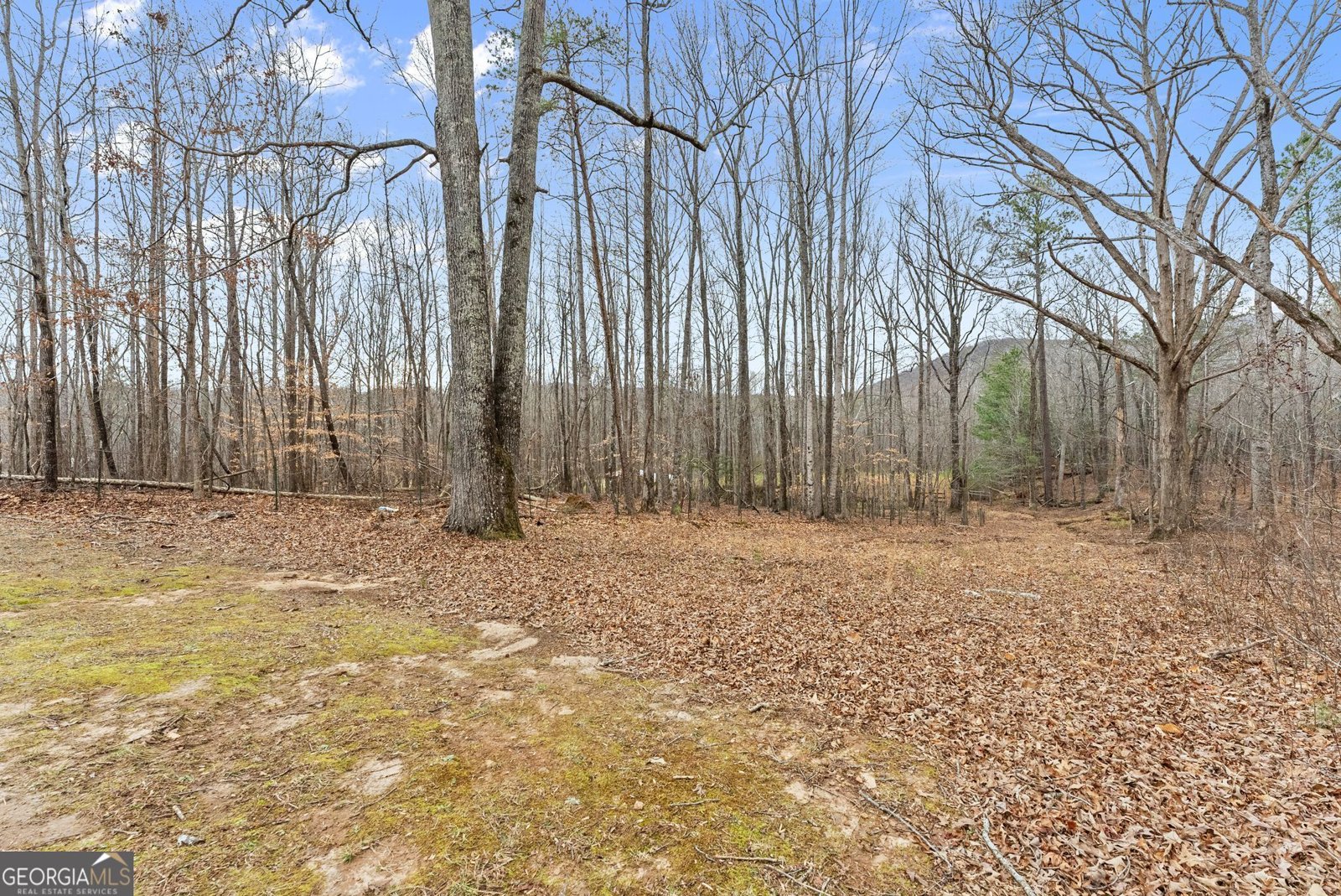 232 Happy Trails Way Jasper - Photo 35