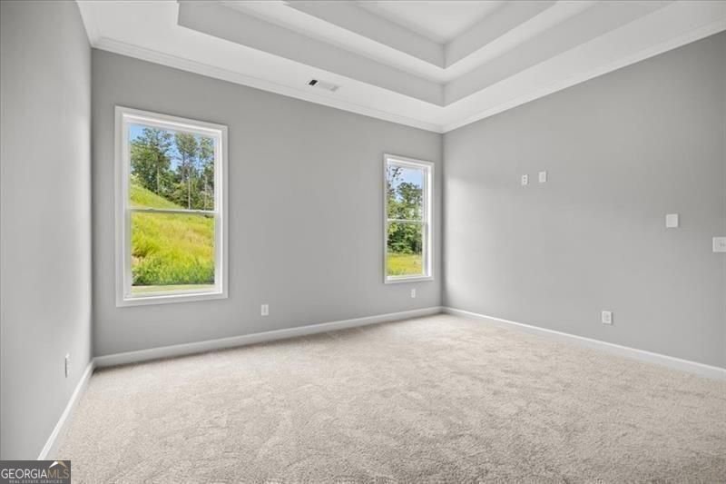 1101 Cooks Farm Way Woodstock - Photo 29