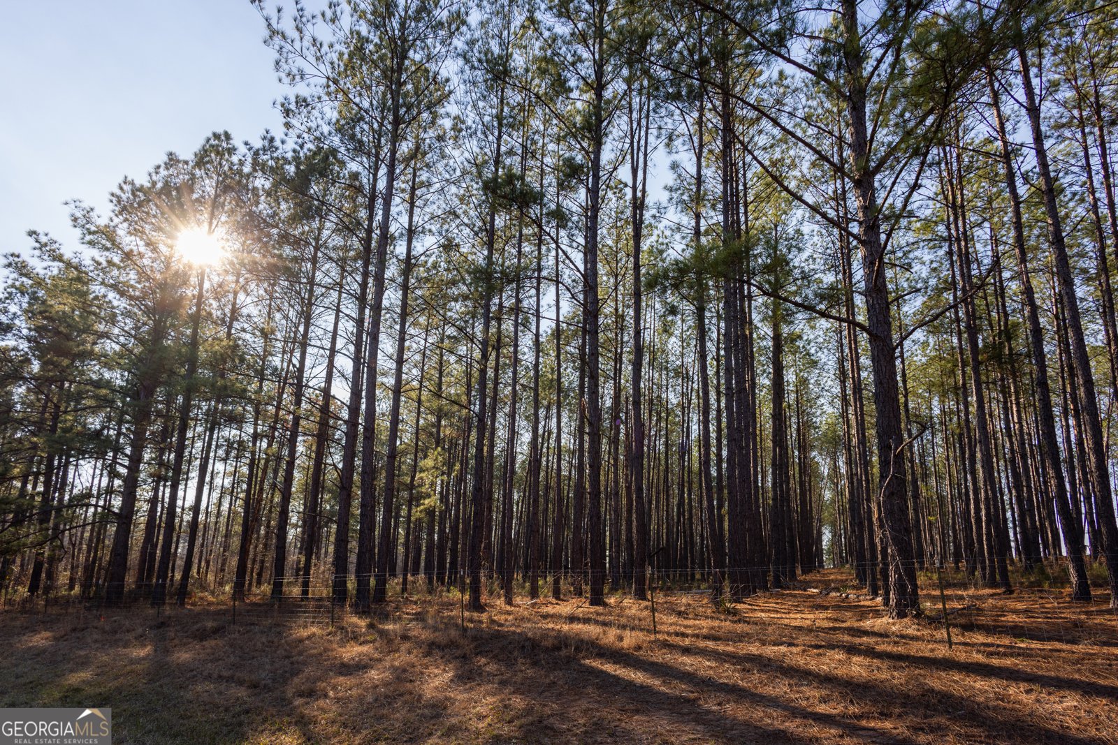 1578 Edsel Senn Road Rockledge - Photo 31