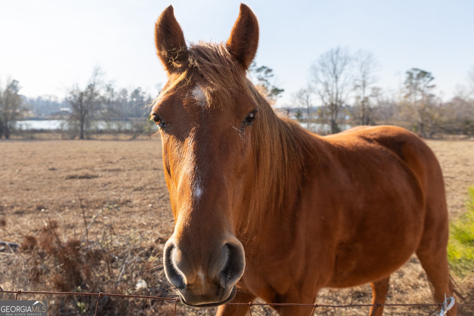 1578 Edsel Senn Road Rockledge - Photo 32