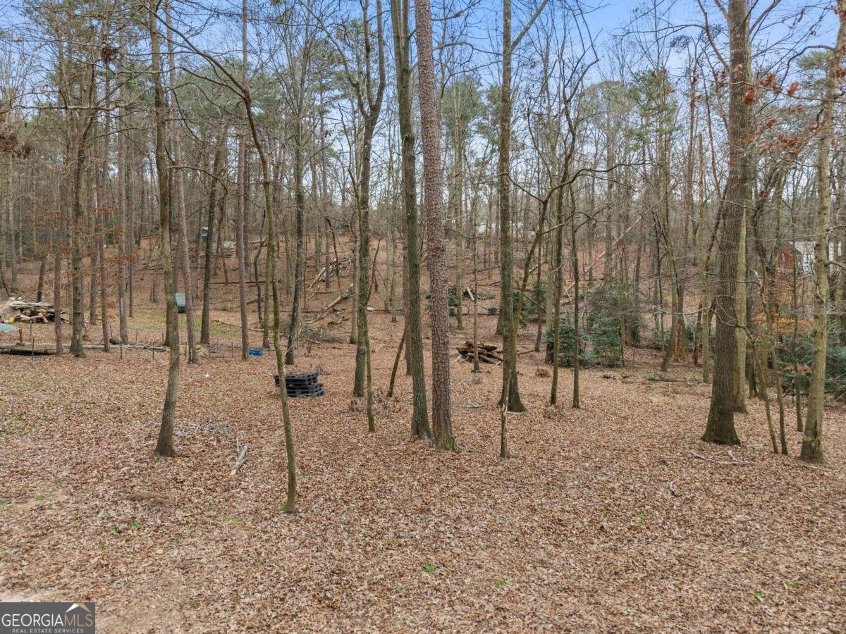 1527 Goldmine Road Dawsonville - Photo 33