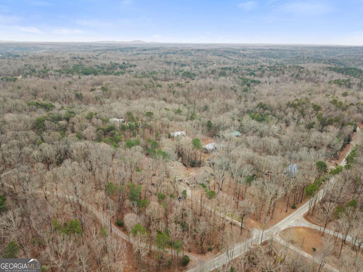 1527 Goldmine Road Dawsonville - Photo 37