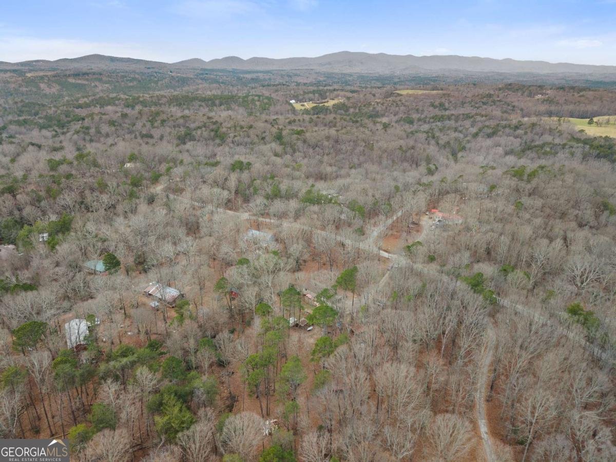 1527 Goldmine Road Dawsonville - Photo 39