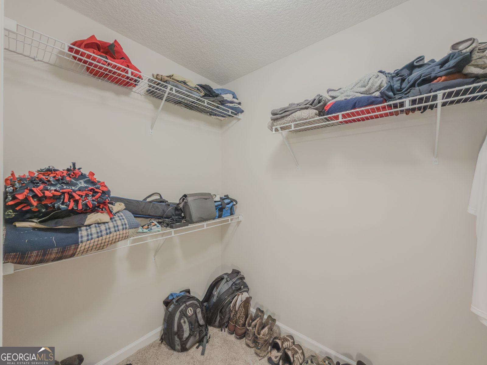 233 Poppyfield Farm Drive Good Hope - Photo 16