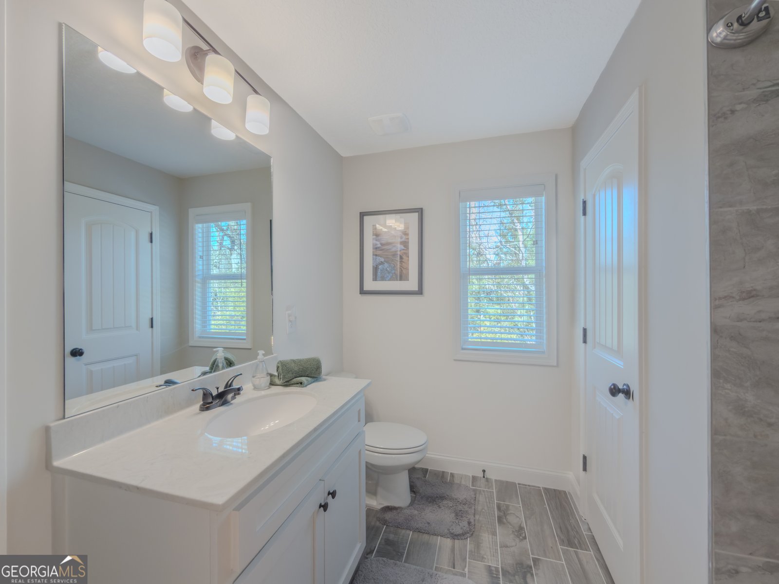 233 Poppyfield Farm Drive Good Hope - Photo 23