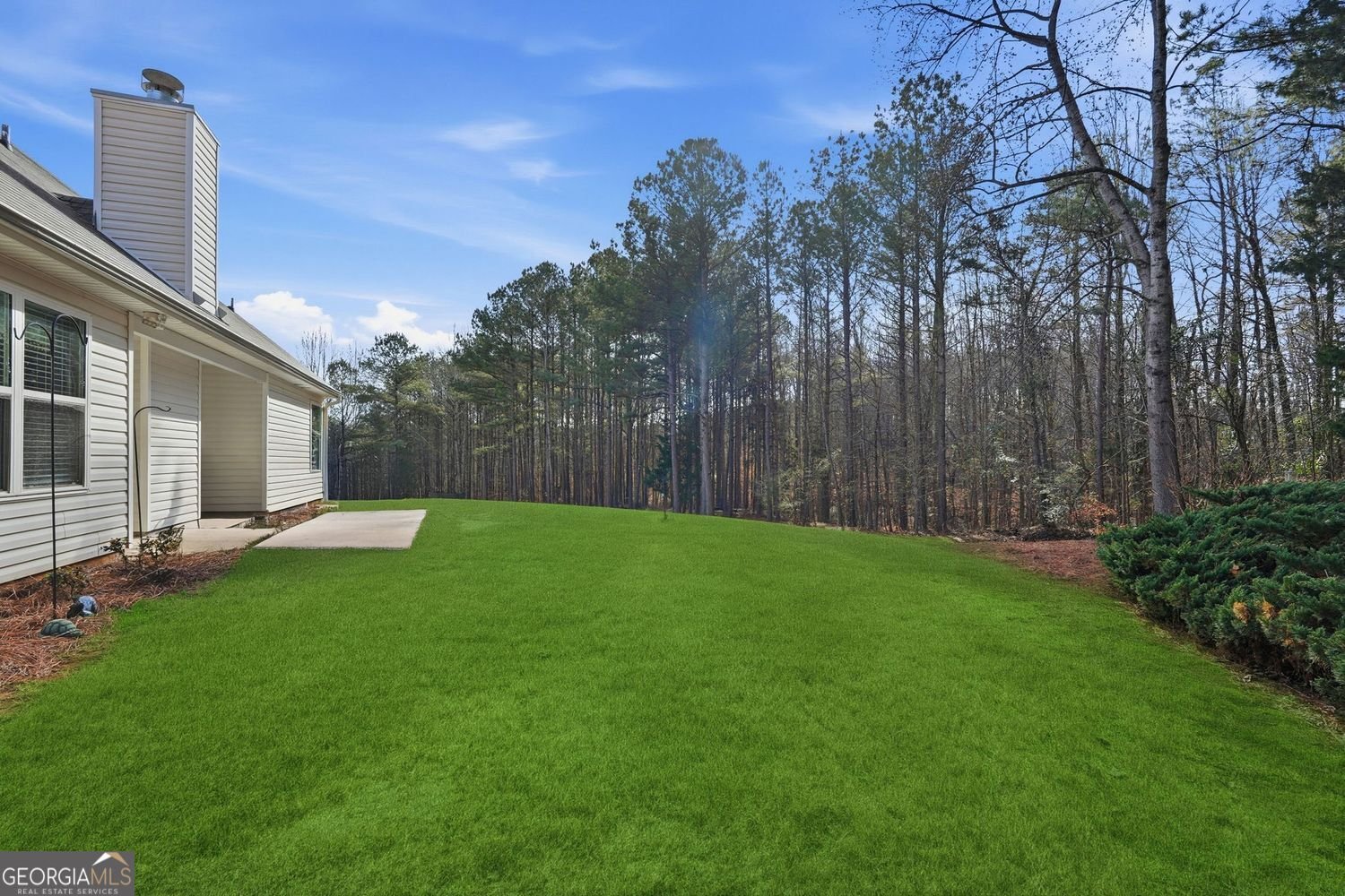 4326 Caney Fork Circle Braselton - Photo 25