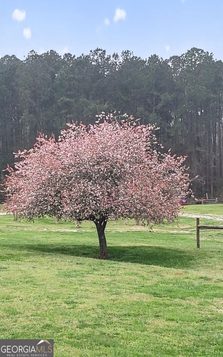 2433 McGarity Road McDonough - Photo 46