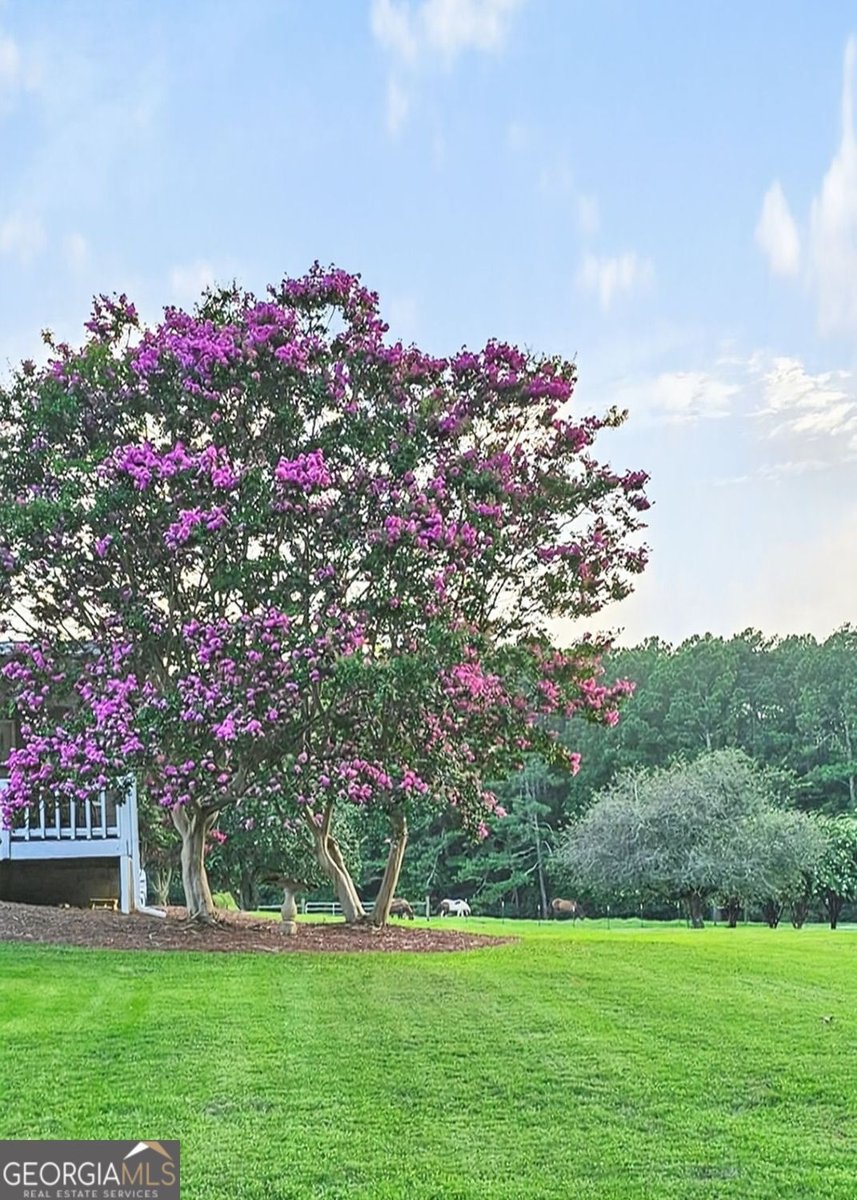 2433 McGarity Road McDonough - Photo 47