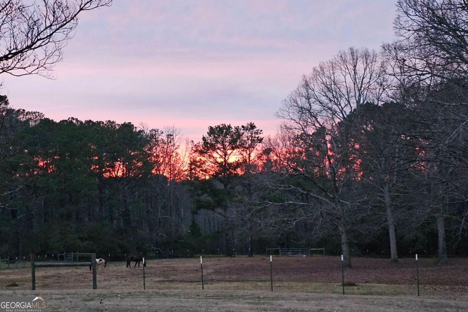 2433 McGarity Road McDonough - Photo 49