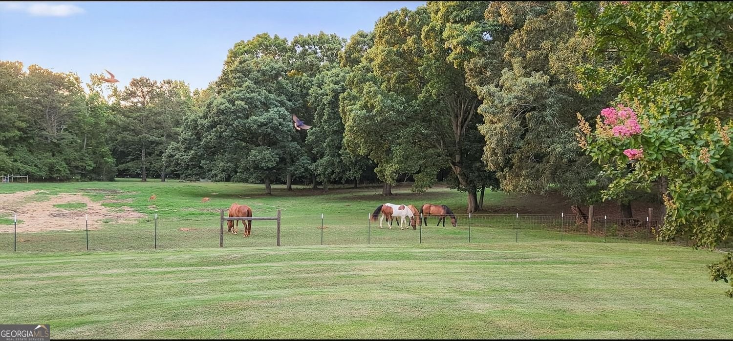 2433 McGarity Road McDonough - Photo 50