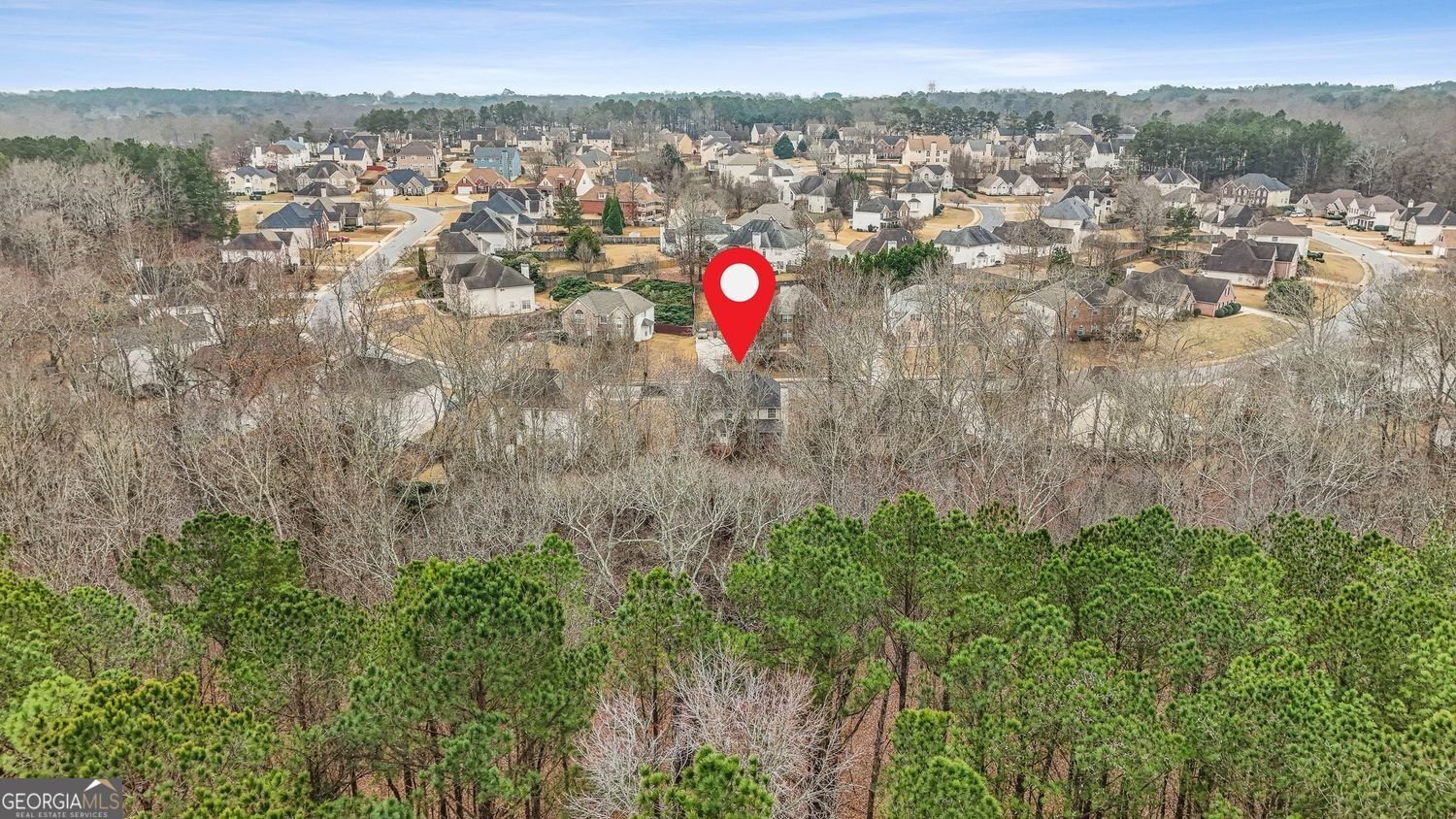 361 Grandiflora Drive McDonough - Photo 41