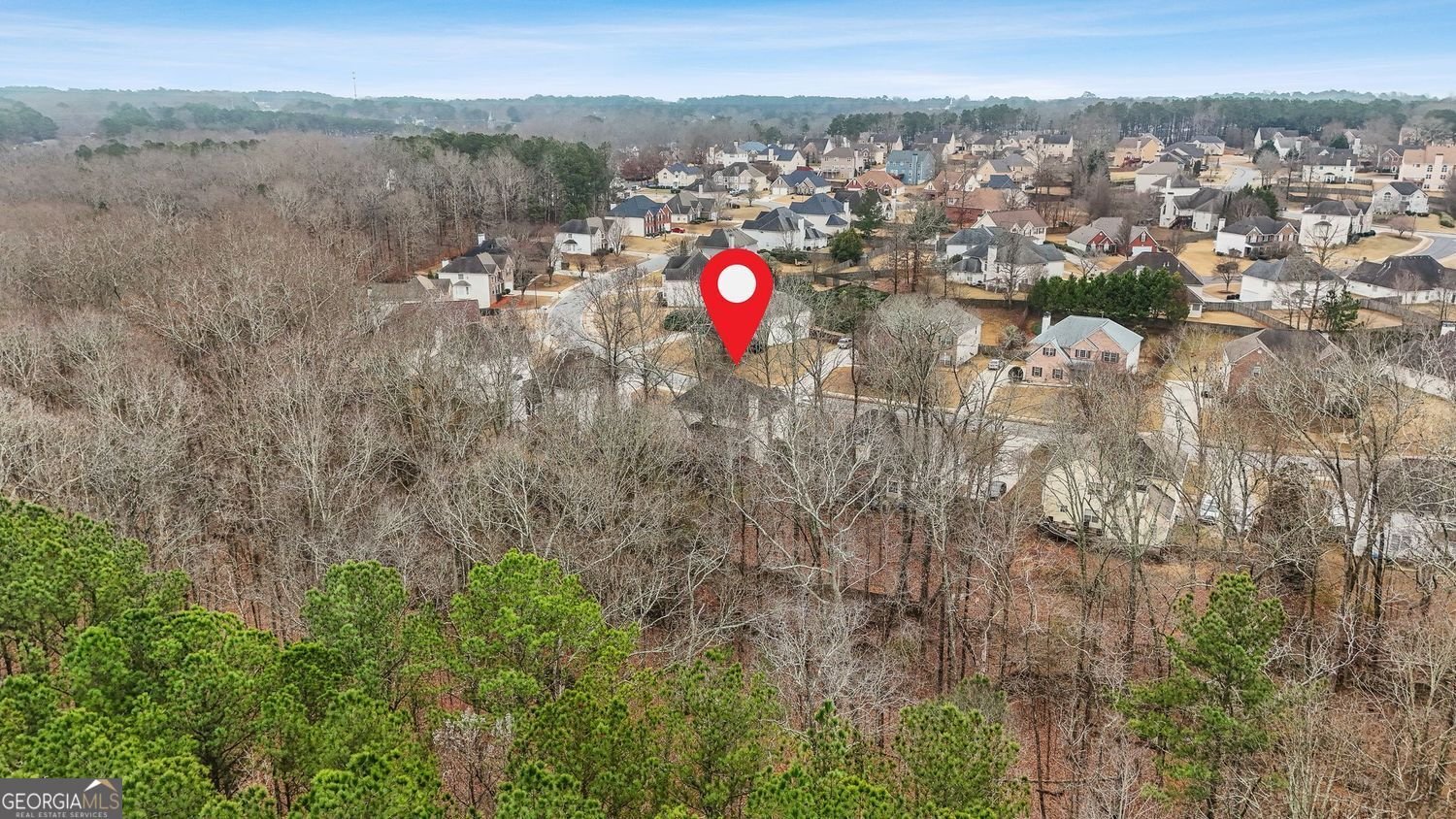 361 Grandiflora Drive McDonough - Photo 42