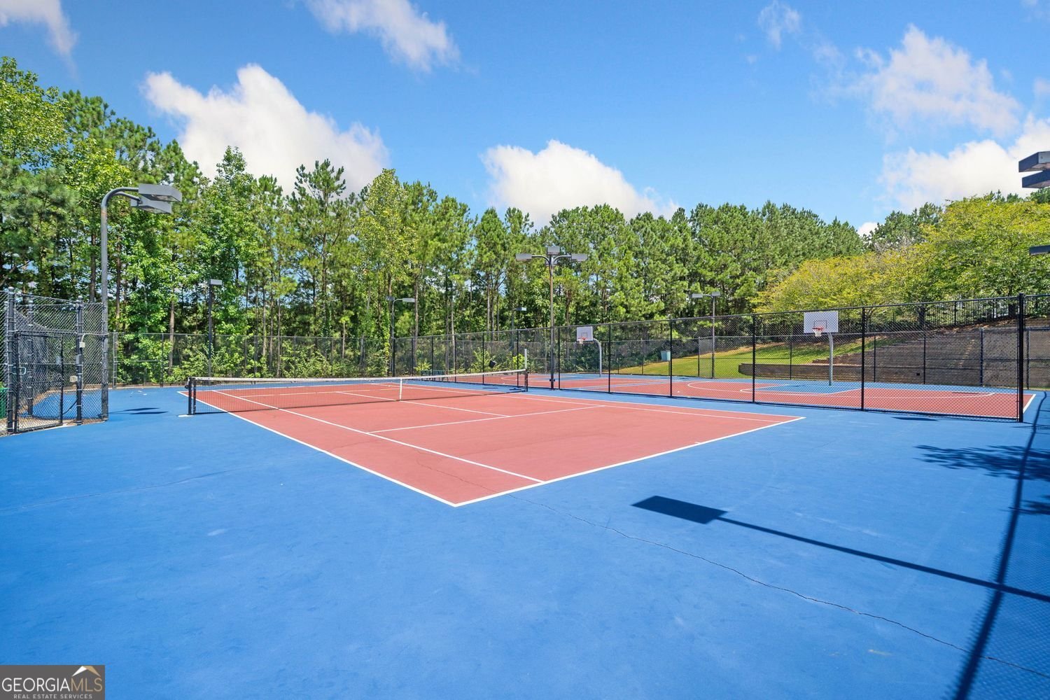 313 Hiawassee Drive Woodstock - Photo 47