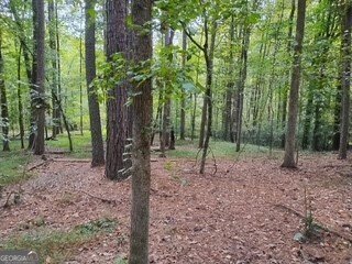 0 Old Southwick Pass Johns Creek - Photo 59