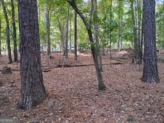 0 Old Southwick Pass Johns Creek - Photo 60