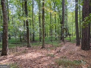 0 Old Southwick Pass Johns Creek - Photo 61