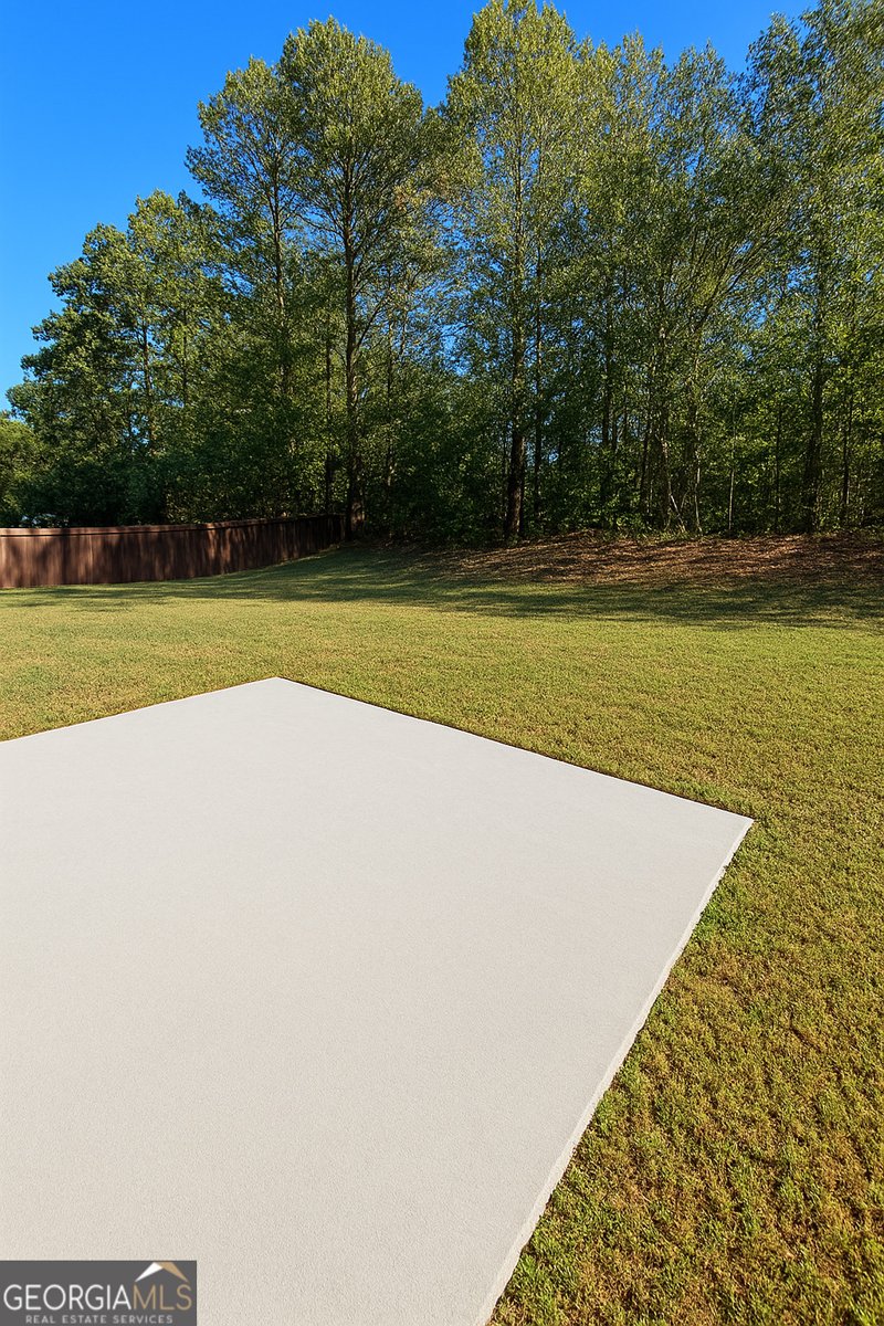 197 Weymouth Drive Locust Grove - Photo 29