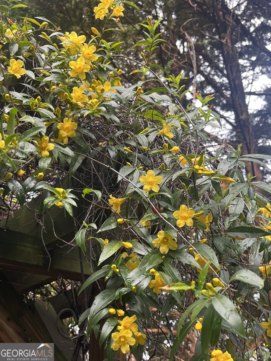 382 Penwood Trail Dacula - Photo 37