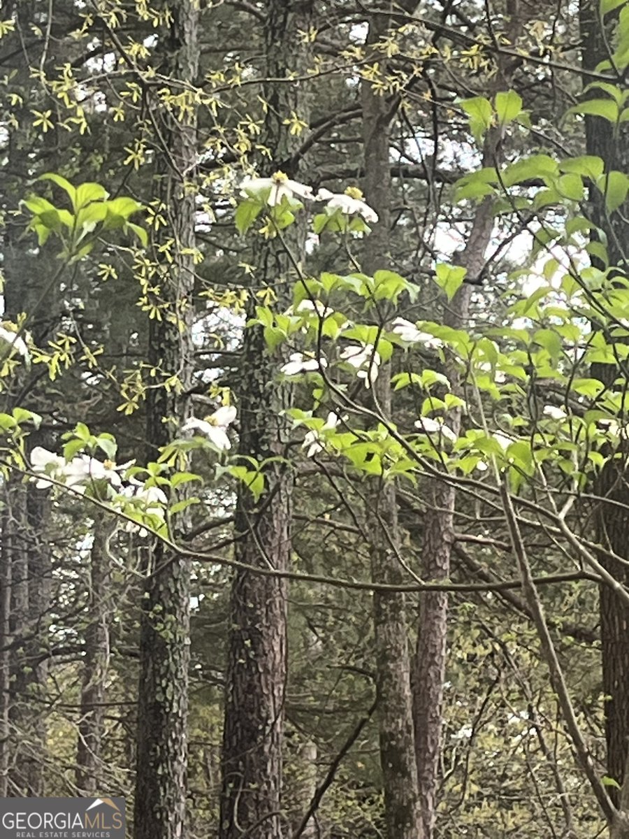 382 Penwood Trail Dacula - Photo 39