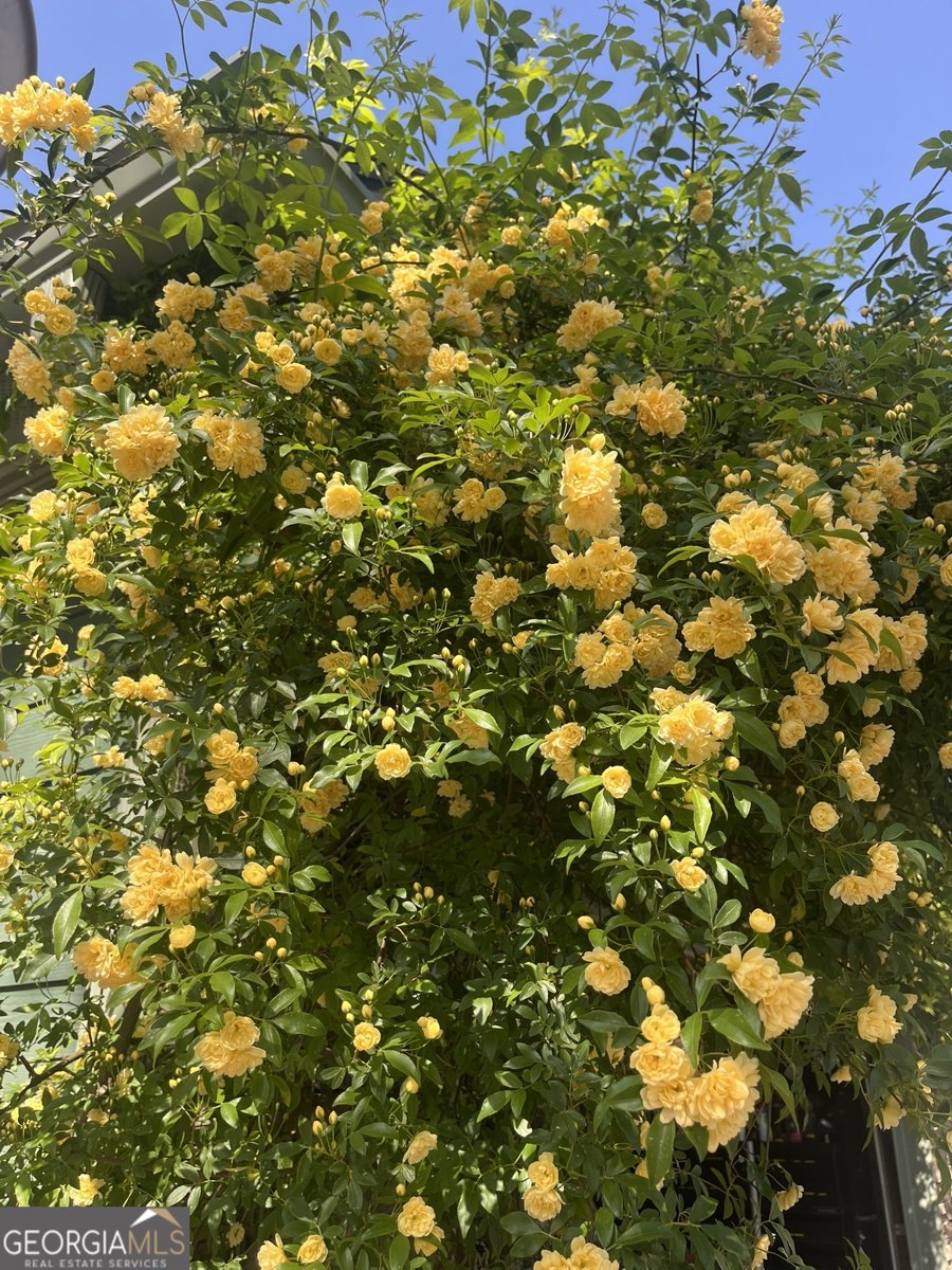 382 Penwood Trail Dacula - Photo 40