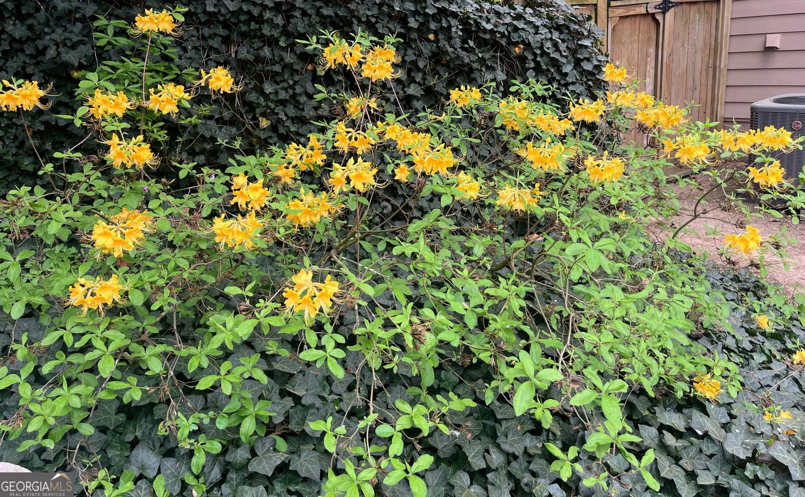 382 Penwood Trail Dacula - Photo 41