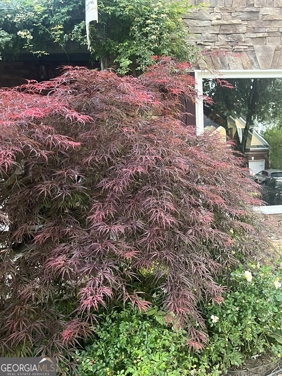 382 Penwood Trail Dacula - Photo 42