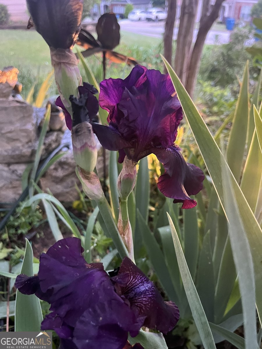 382 Penwood Trail Dacula - Photo 44