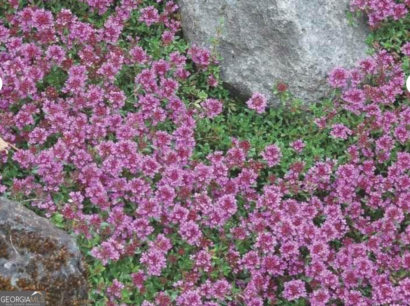 382 Penwood Trail Dacula - Photo 45