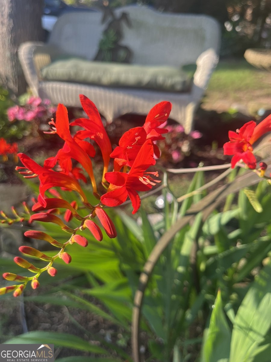 382 Penwood Trail Dacula - Photo 47