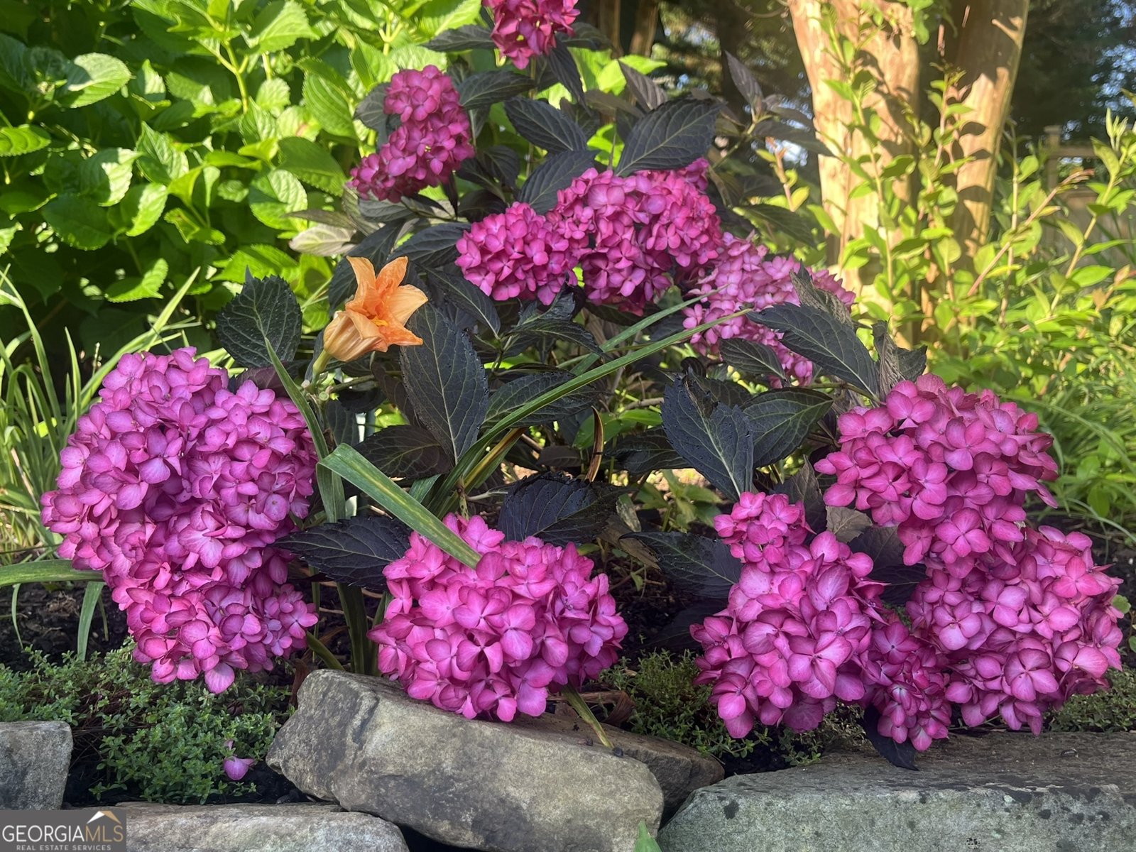 382 Penwood Trail Dacula - Photo 48