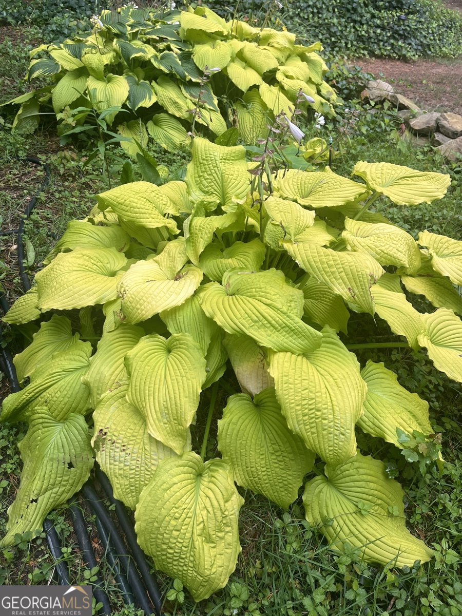 382 Penwood Trail Dacula - Photo 50